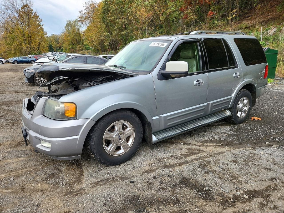 Vue de 2006 FORD EXPEDITION LIMITED, angle 1