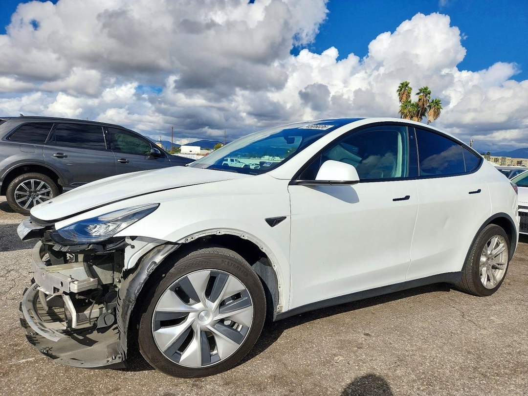 Вид 2022 TESLA MODEL Y, угол 1