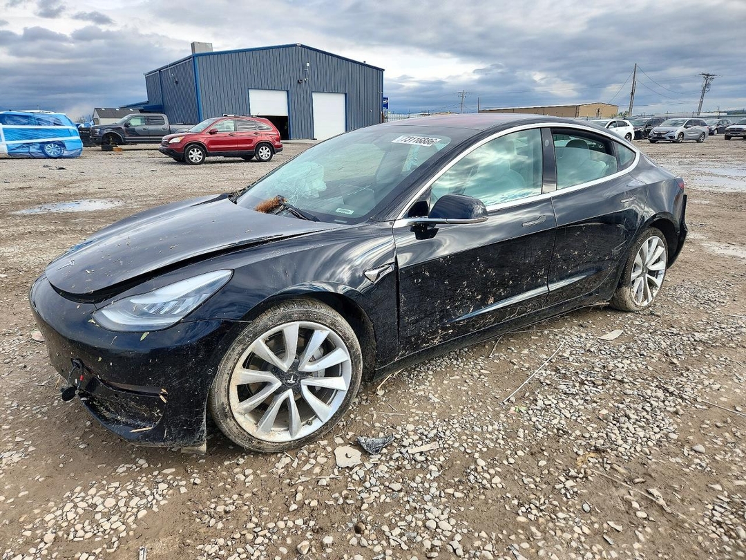 Вид 2019 TESLA MODEL 3, угол 1