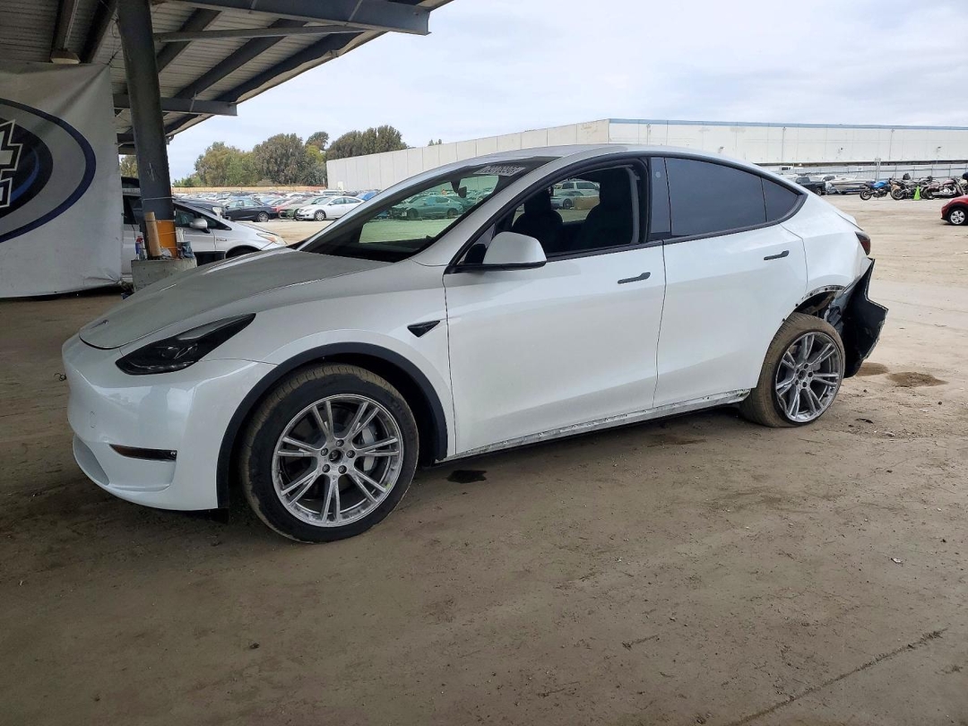 منظر 2023 TESLA MODEL Y، زاوية 1