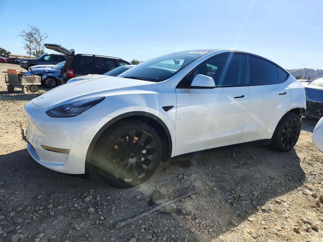 منظر 2021 TESLA MODEL Y، زاوية 1