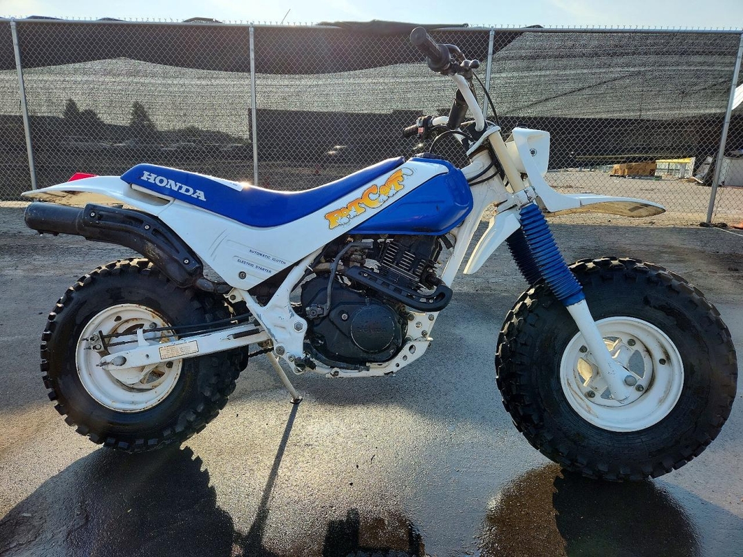 منظر 1986 HONDA TR200، زاوية 1