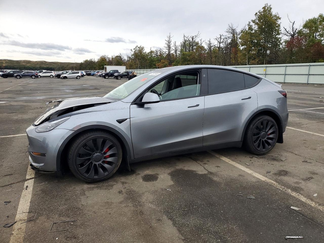 Вид 2025 TESLA MODEL Y, угол 1