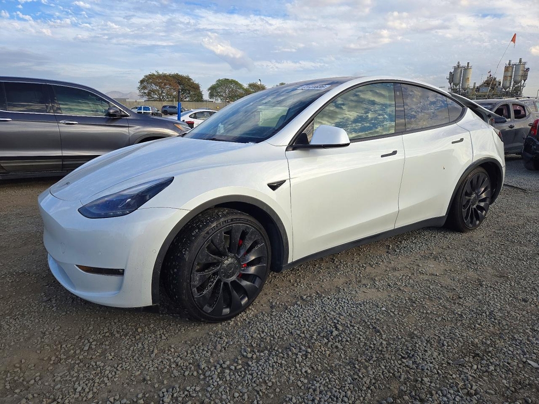 منظر 2022 TESLA MODEL Y، زاوية 1