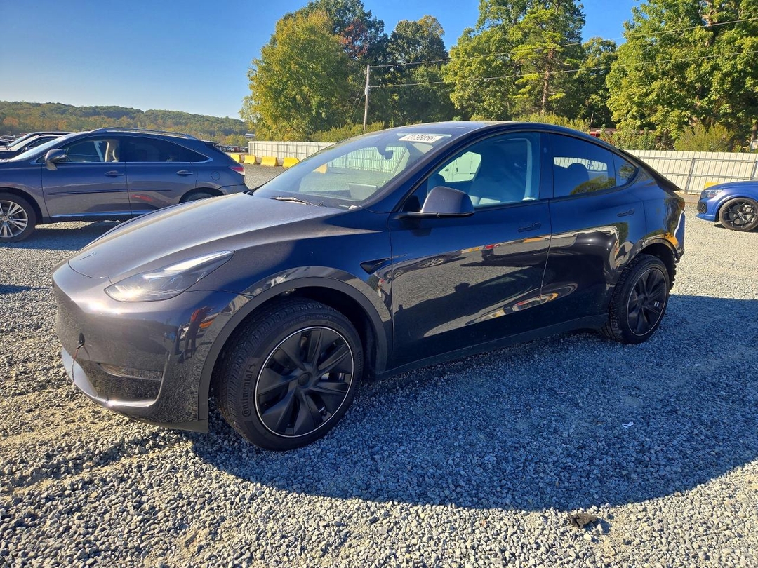 Vedere 2024 TESLA MODEL Y, unghi 1