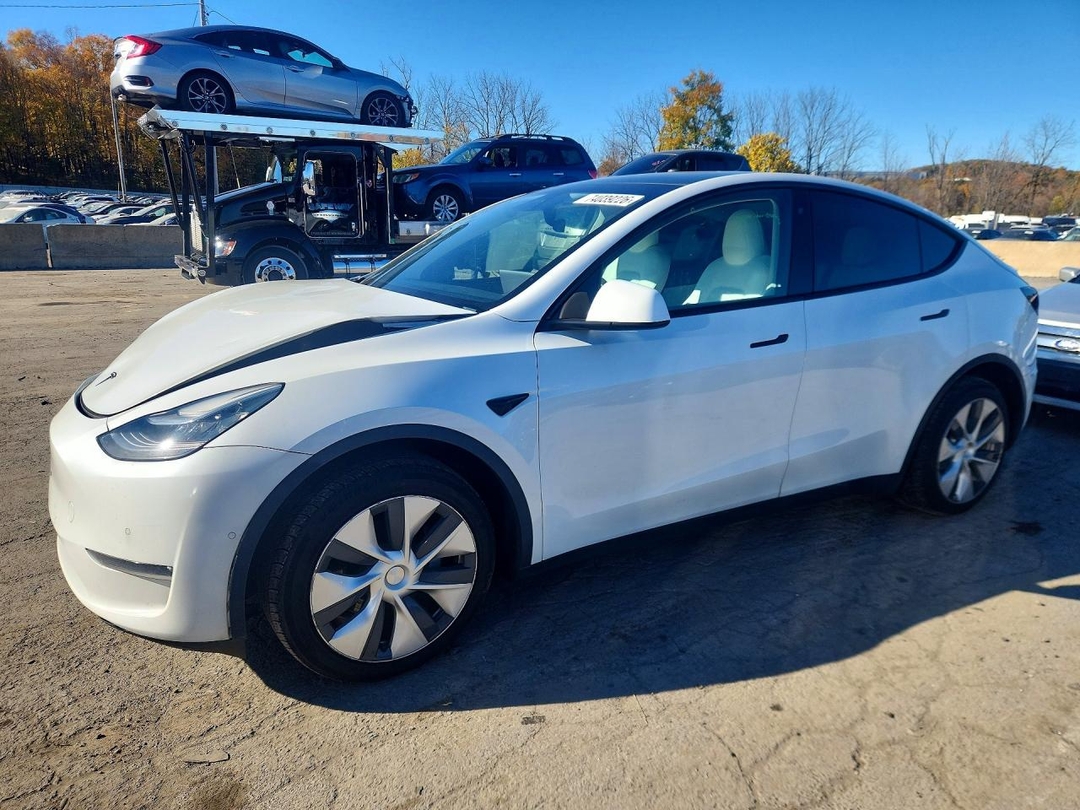 منظر 2020 TESLA MODEL Y، زاوية 1