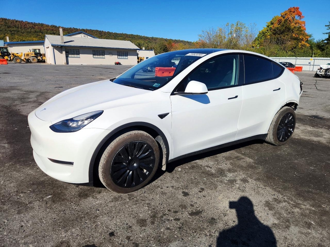 Вид 2023 TESLA MODEL Y, угол 1