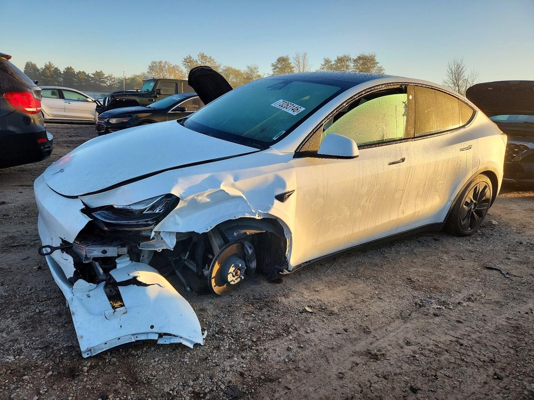 Вид 2020 TESLA MODEL Y, угол 1
