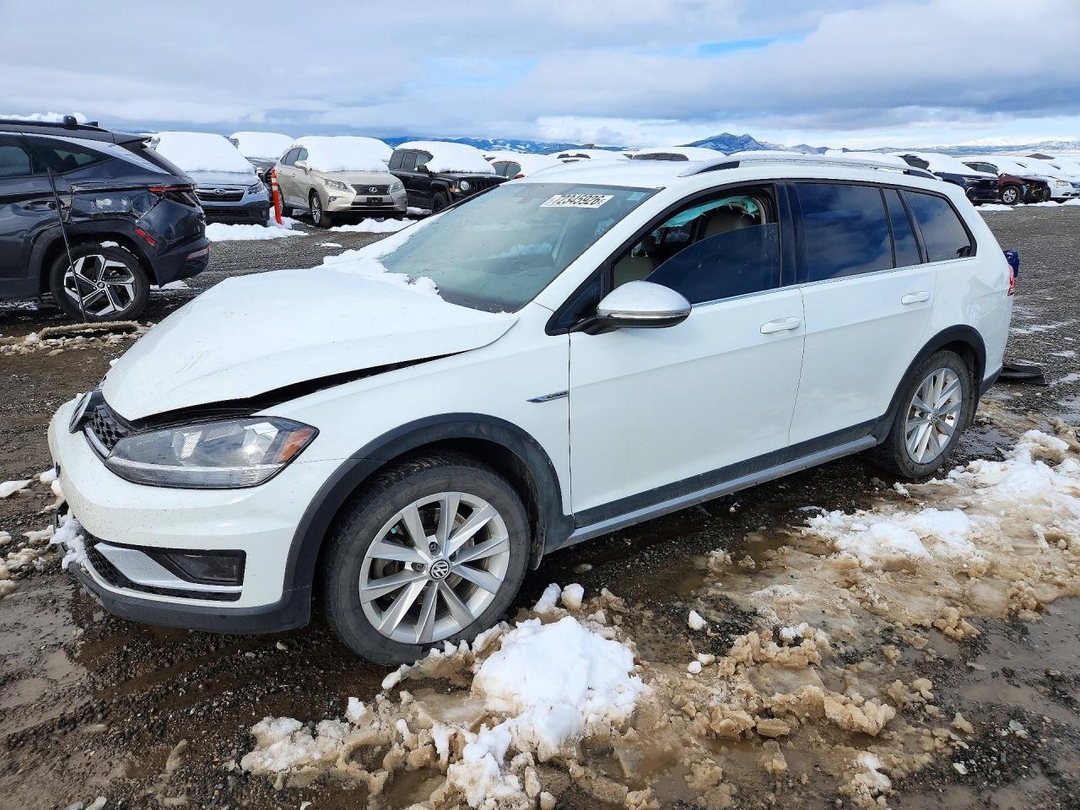 Вид 2019 VOLKSWAGEN GOLF ALLTRACK S, угол 1