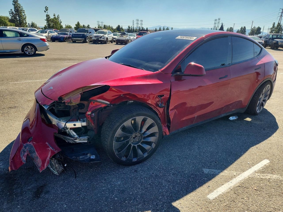 Вид 2024 TESLA MODEL Y, угол 1