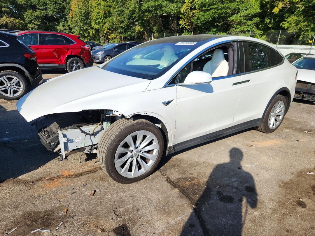 Вид 2018 TESLA MODEL X, угол 1