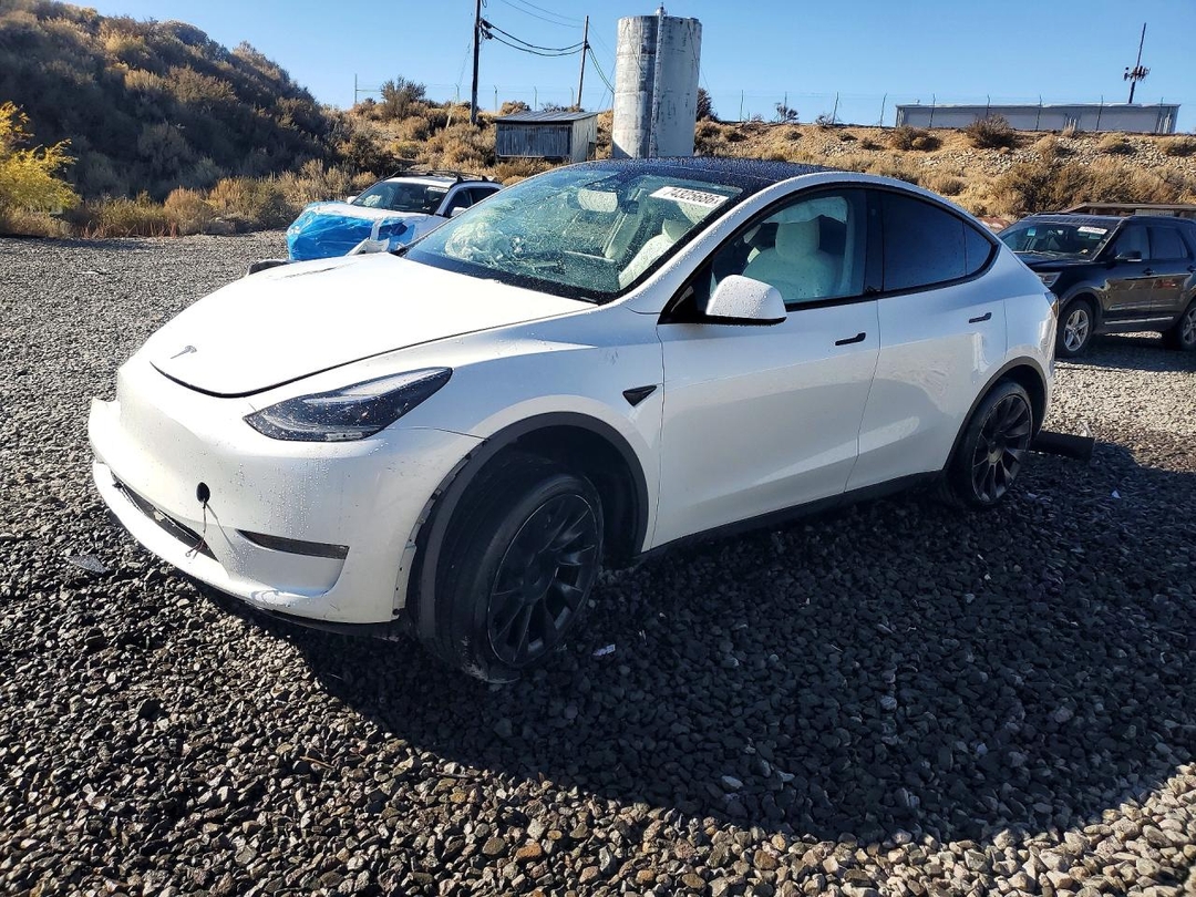 Вид 2023 TESLA MODEL Y, угол 1
