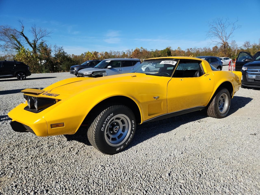 Вид 1979 CHEVROLET CORVETTE, угол 1