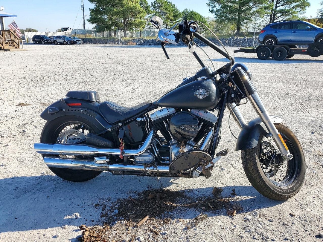 Vedere 2016 HARLEY-DAVIDSON FLS SOFTAIL SLIM, unghi 1