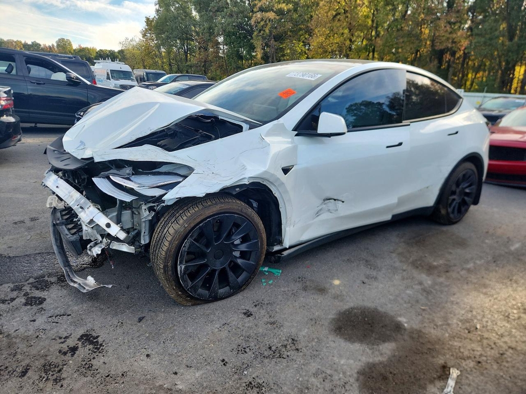 Vista de 2021 TESLA MODEL Y, ángulo 1