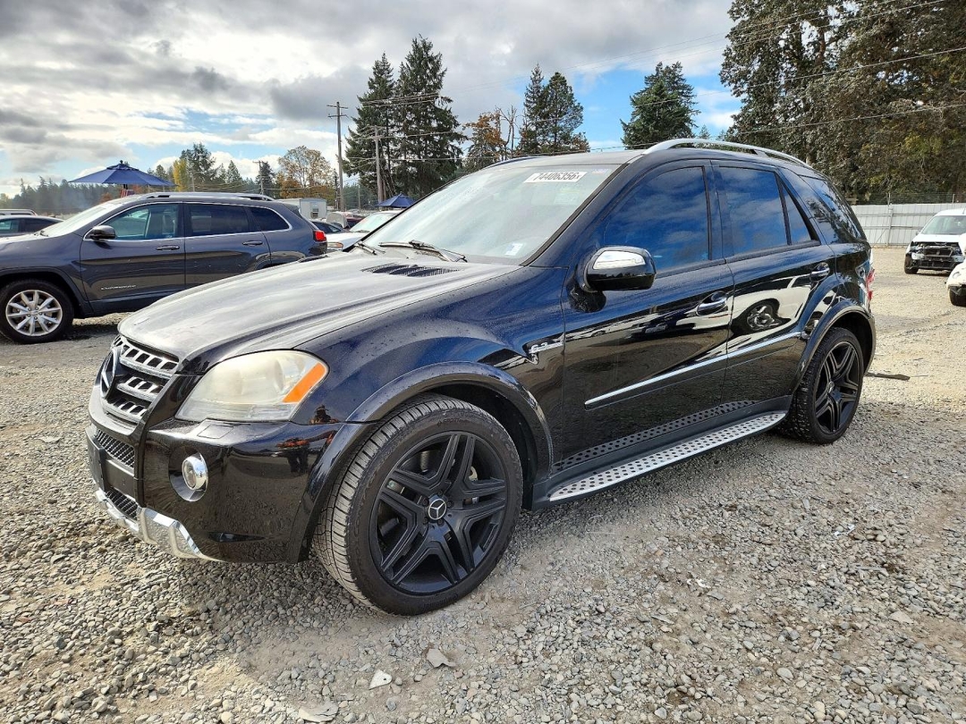 منظر 2009 MERCEDES-BENZ ML 63 AMG، زاوية 1