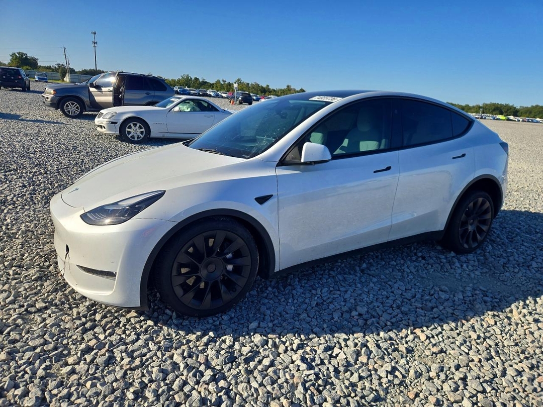منظر 2025 TESLA MODEL Y، زاوية 1