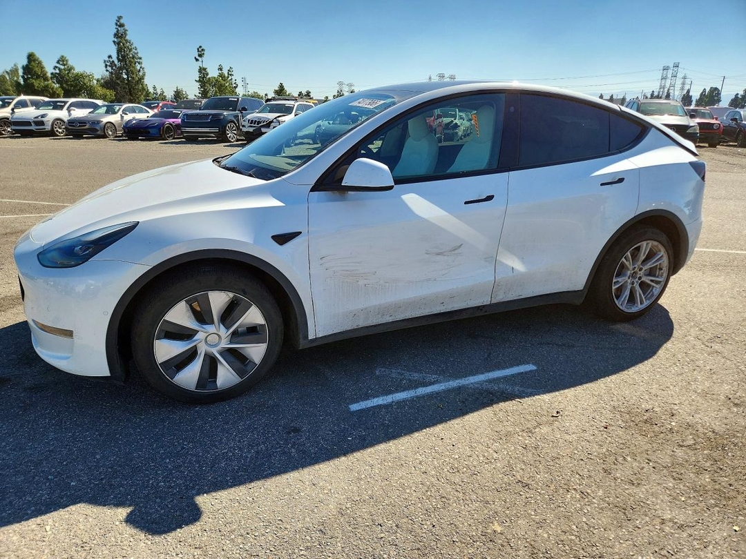 Вид 2022 TESLA MODEL Y, угол 1