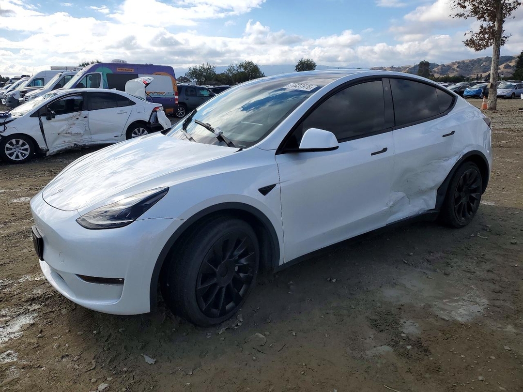 Вид 2023 TESLA MODEL Y, угол 1