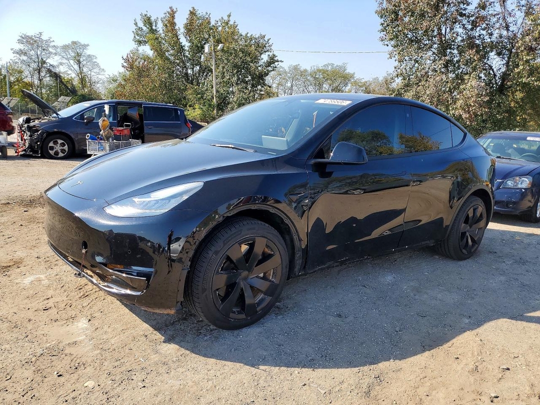 Вид 2021 TESLA MODEL Y, угол 1
