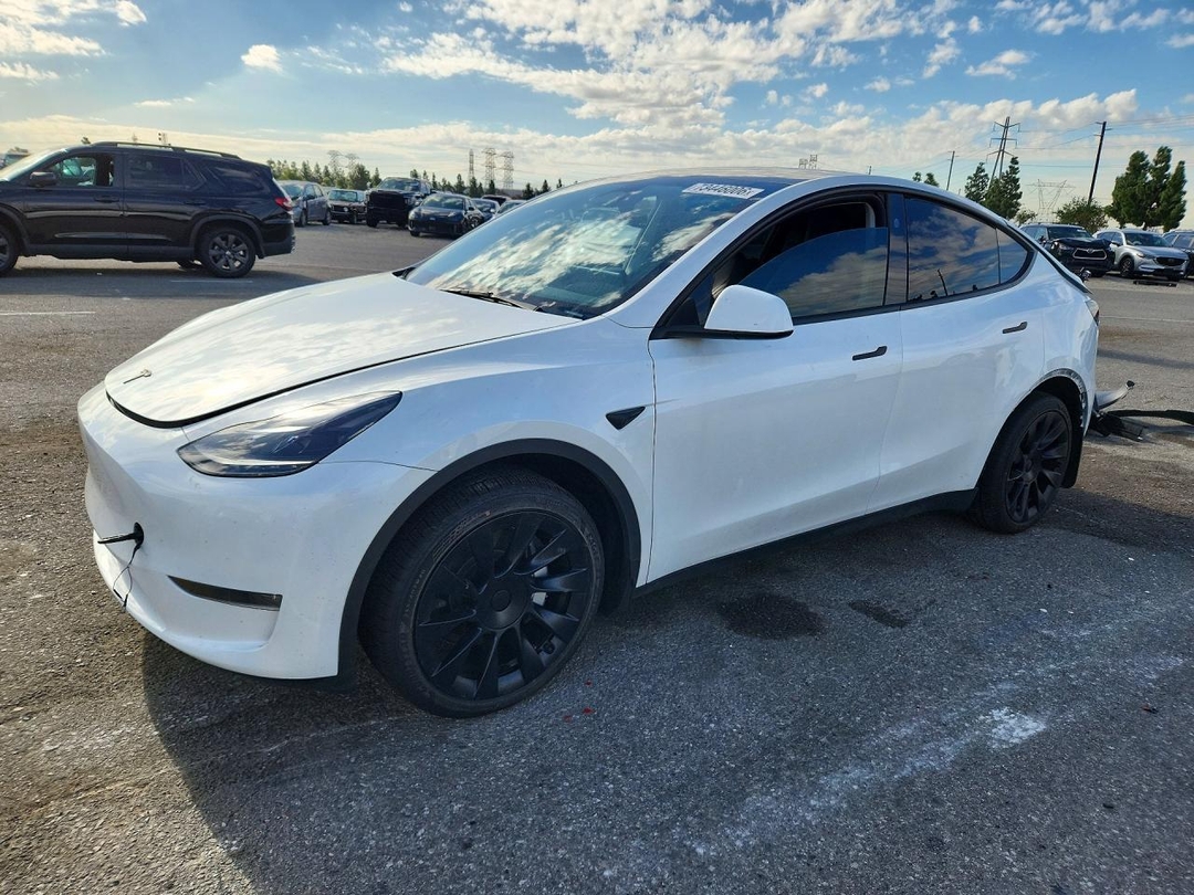 منظر 2024 TESLA MODEL Y، زاوية 1