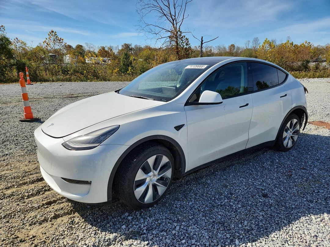 Вид 2022 TESLA MODEL Y, угол 1