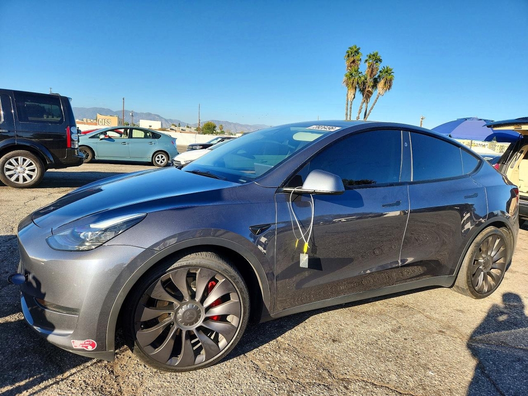 منظر 2023 TESLA MODEL Y، زاوية 1