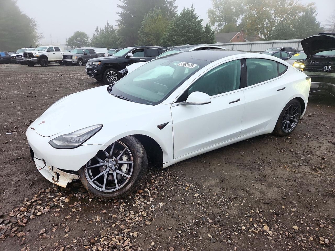 Вид 2019 TESLA MODEL 3, угол 1