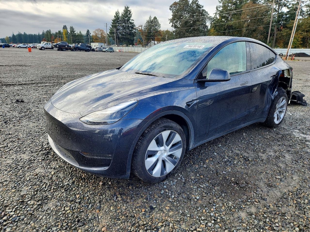 Вид 2024 TESLA MODEL Y, угол 1