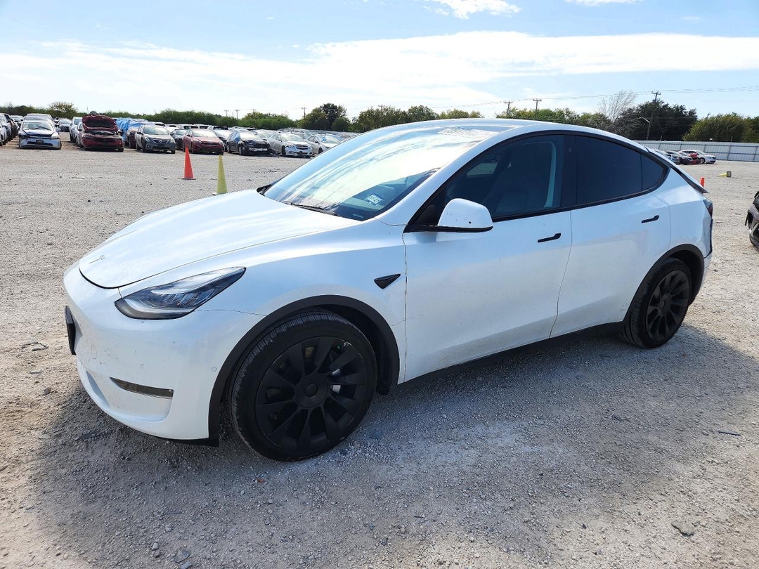 منظر 2020 TESLA MODEL Y، زاوية 1