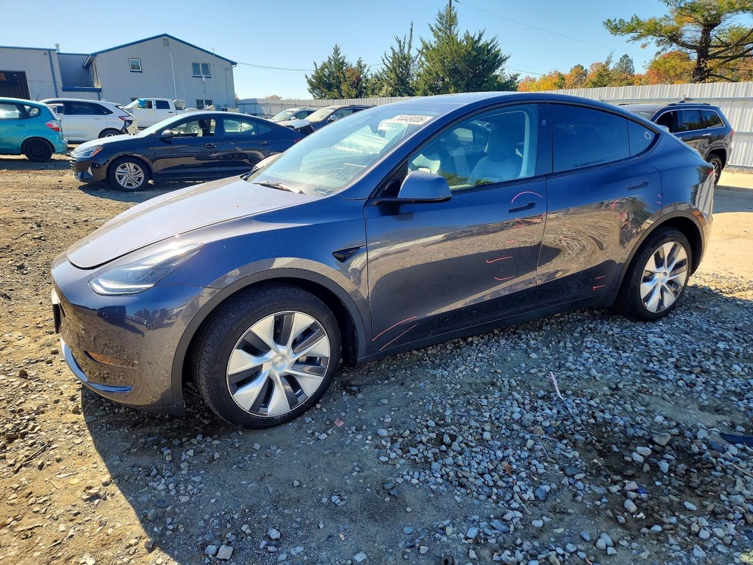 Вид 2023 TESLA MODEL Y, угол 1