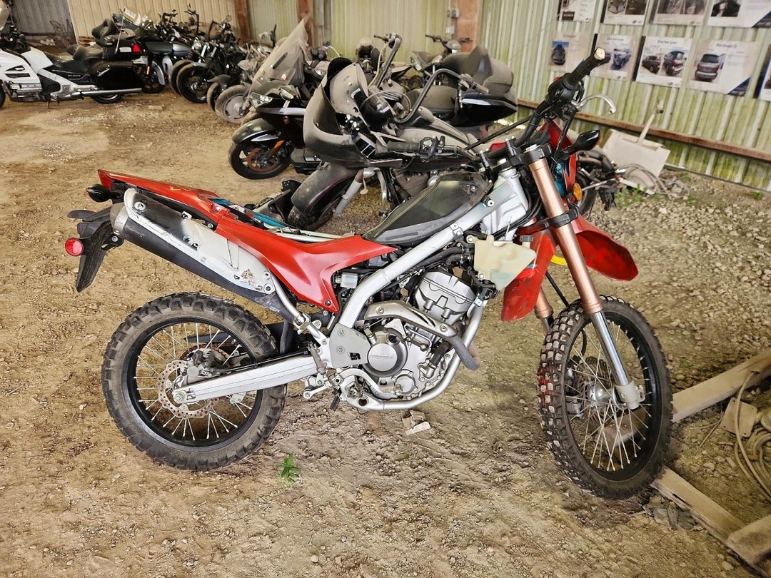 Vedere 2019 HONDA CRF250 L, unghi 1