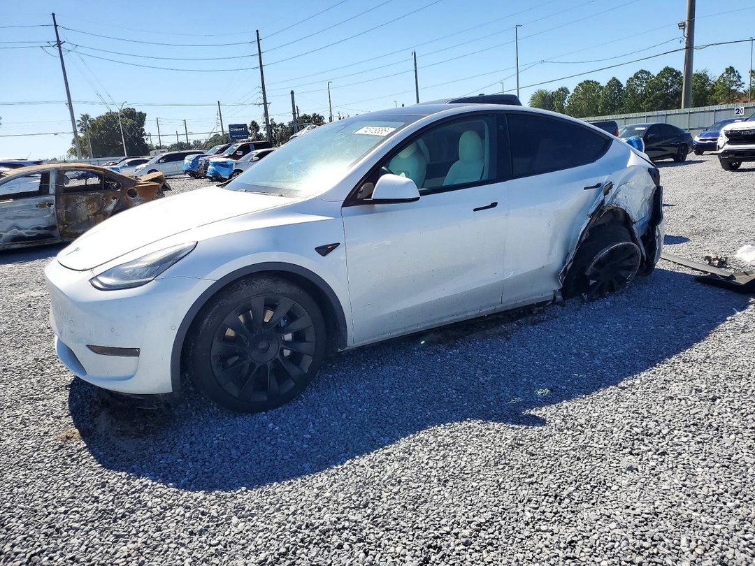 منظر 2021 TESLA MODEL Y، زاوية 1