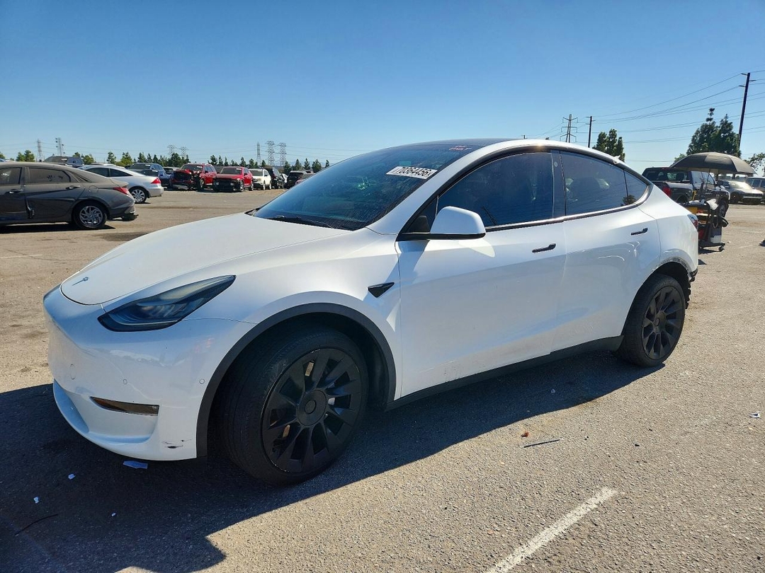 منظر 2021 TESLA MODEL Y، زاوية 1
