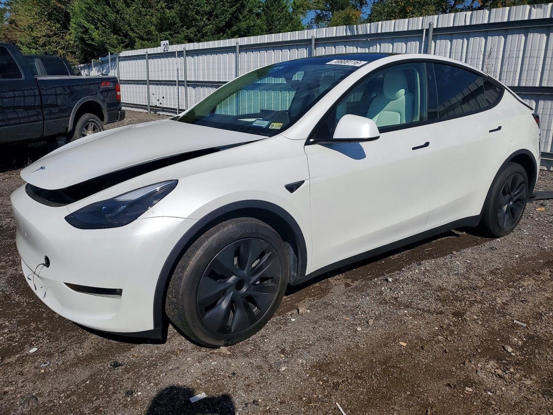 منظر 2024 TESLA MODEL Y، زاوية 1