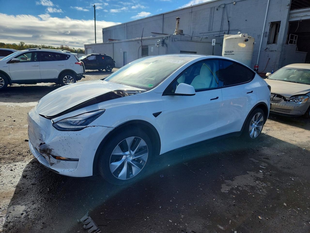 منظر 2020 TESLA MODEL Y، زاوية 1