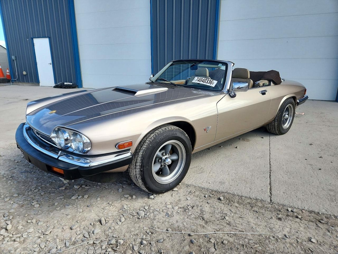 Вид 1991 JAGUAR XJS CLASSIC COLLECTION, угол 1