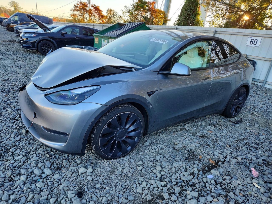 منظر 2025 TESLA MODEL Y، زاوية 1