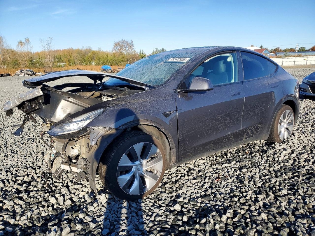 منظر 2021 TESLA MODEL Y، زاوية 1