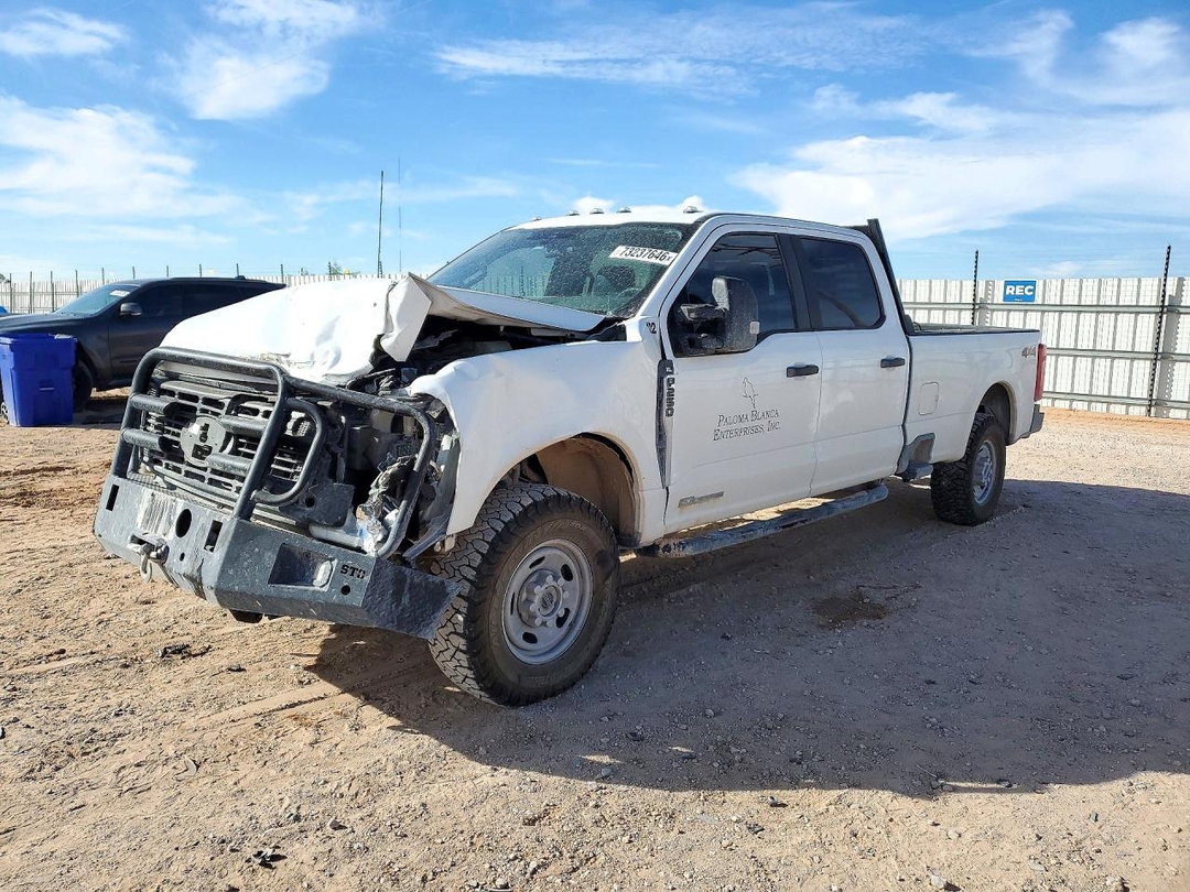 Вид 2023 FORD F250 SUPER DUTY, угол 1