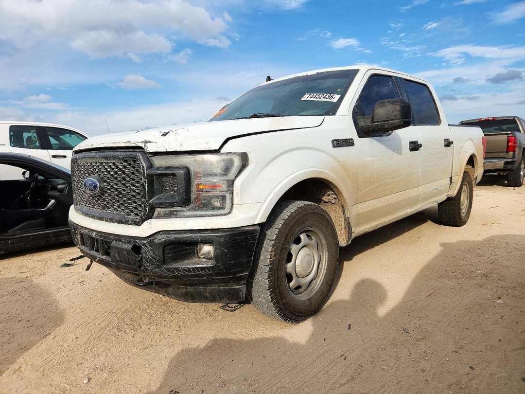 Vedere 2019 FORD F150 SUPERCREW, unghi 1