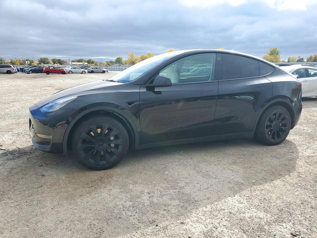 منظر 2021 TESLA MODEL Y، زاوية 1