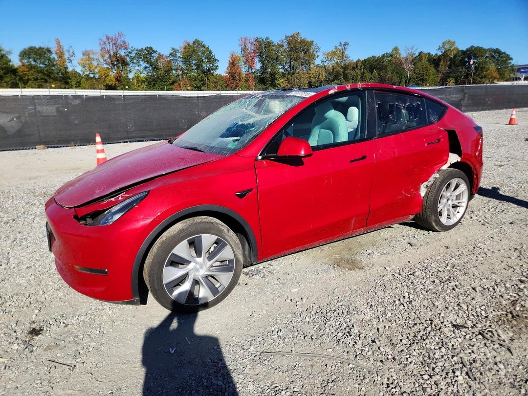 Вид 2023 TESLA MODEL Y, угол 1