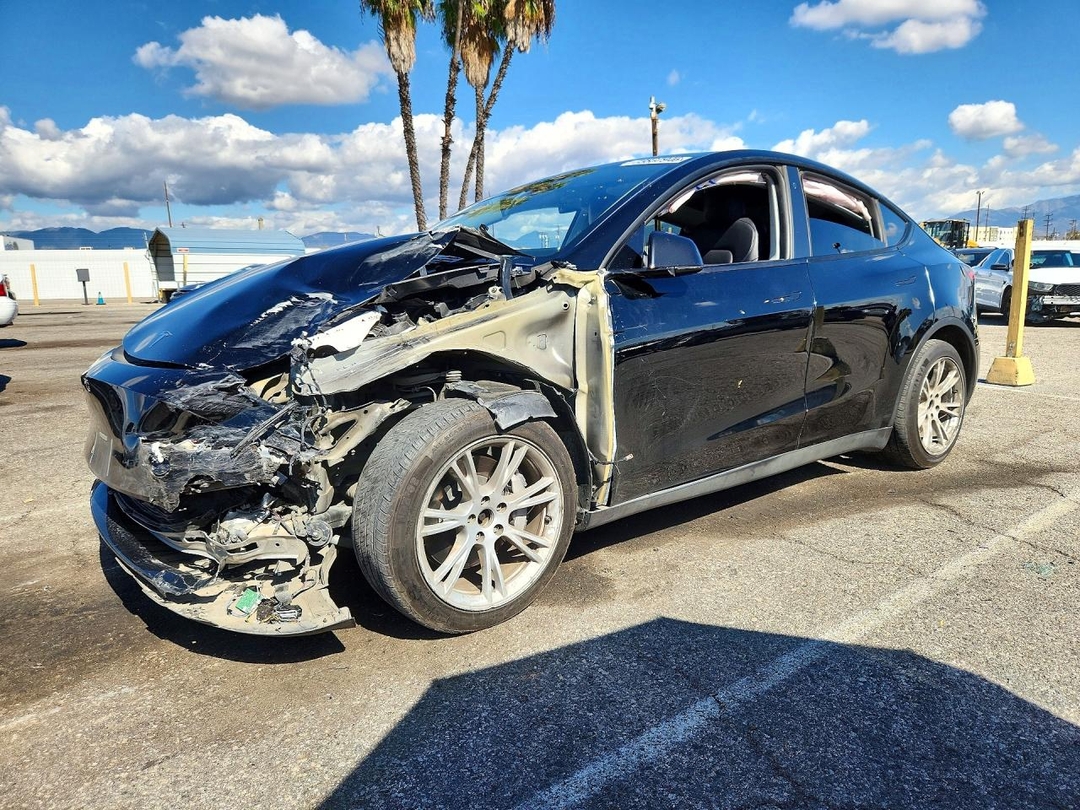 Вид 2023 TESLA MODEL Y, угол 1