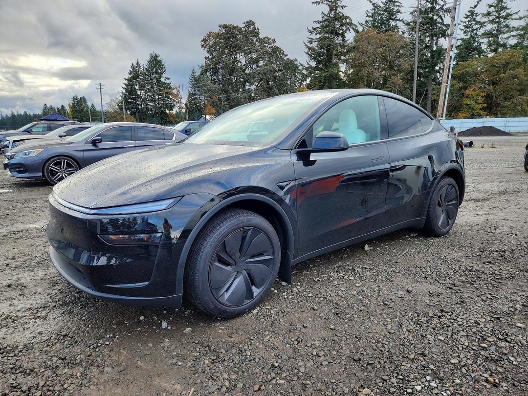 منظر 2026 TESLA MODEL Y، زاوية 1