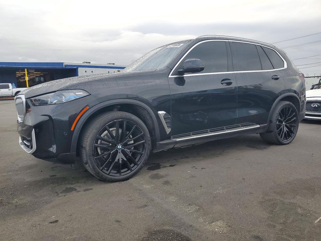 Вид 2024 BMW X5 SDRIVE 40I, угол 1