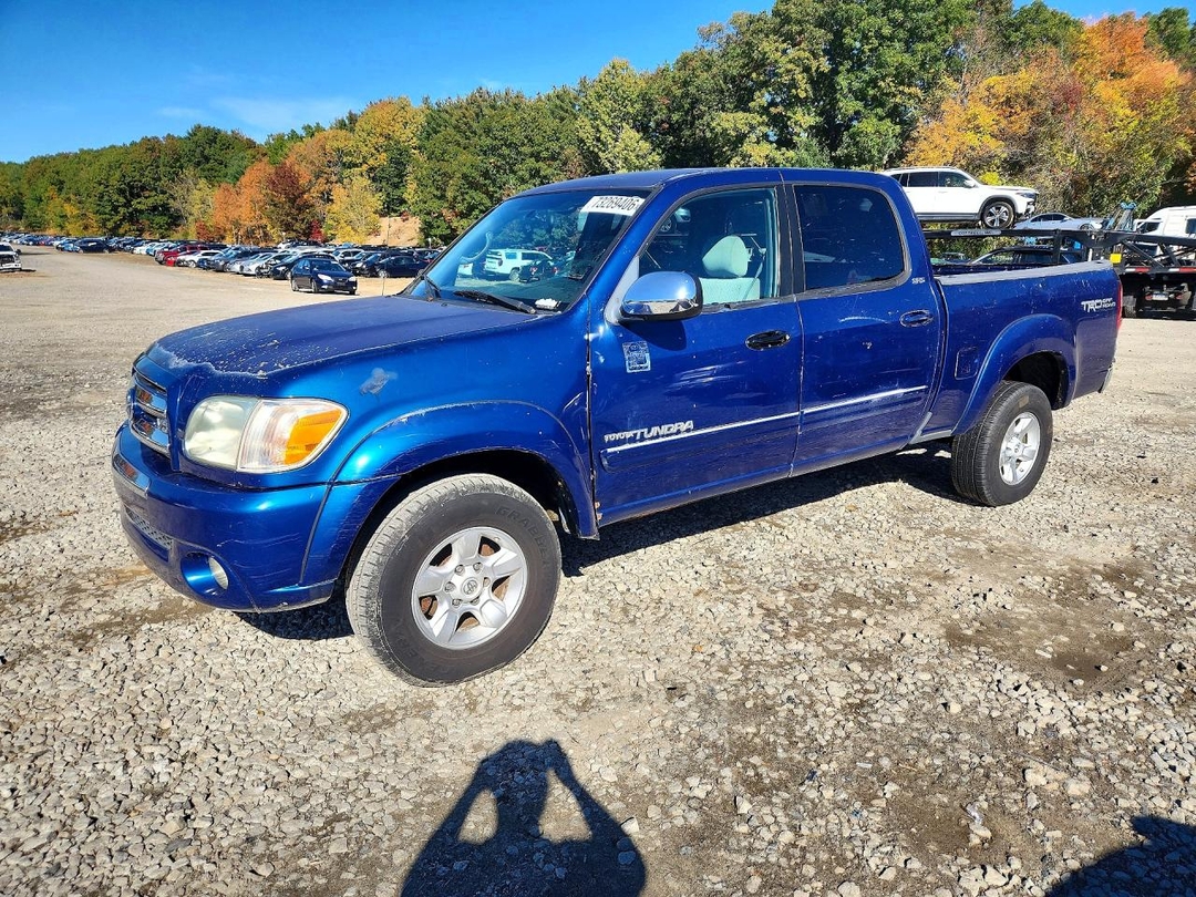 Вид 2005 TOYOTA TUNDRA DOUBLE CAB SR5, угол 1