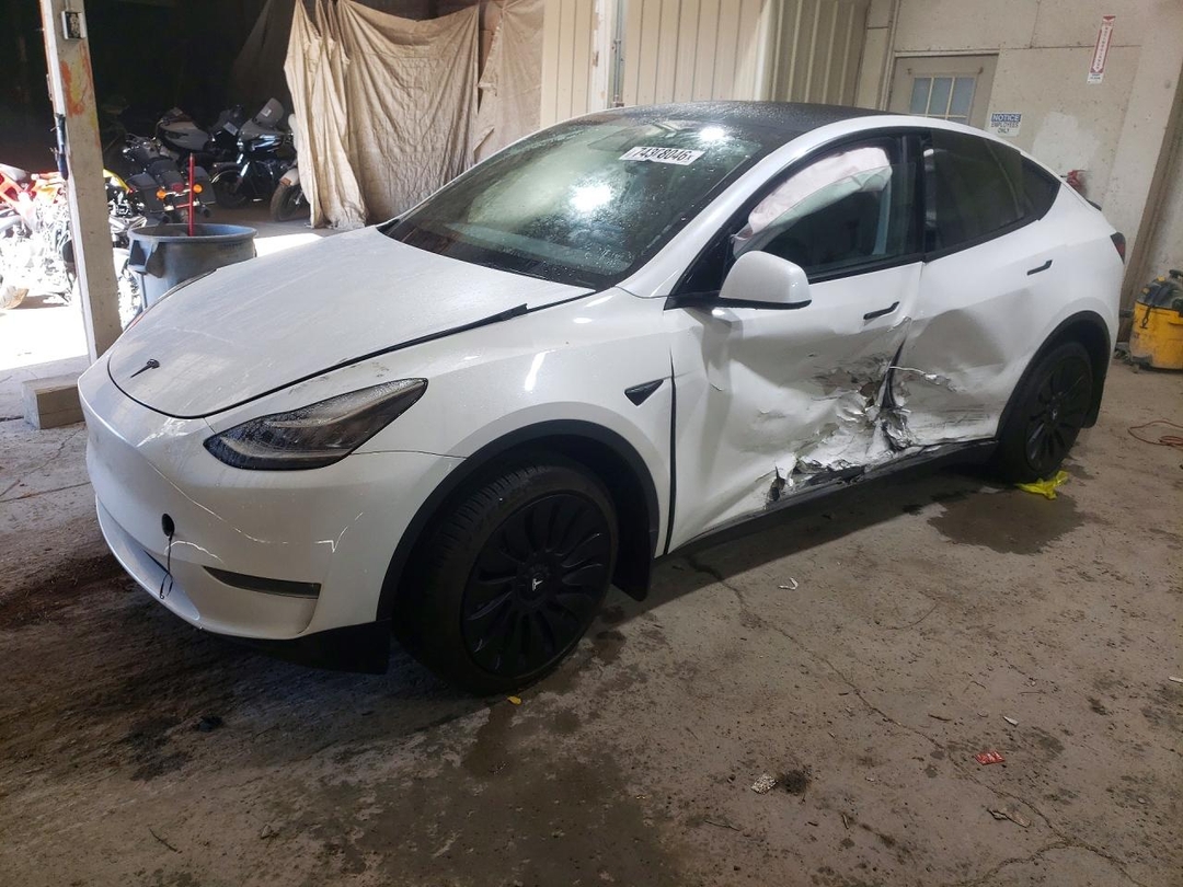 منظر 2023 TESLA MODEL Y، زاوية 1