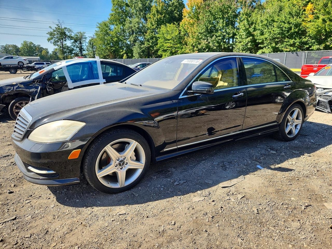 Вид 2010 MERCEDES-BENZ S 550, угол 1