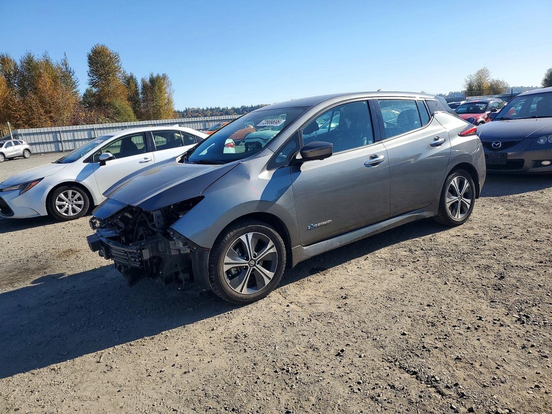 Вид 2019 NISSAN LEAF SL PLUS, угол 1